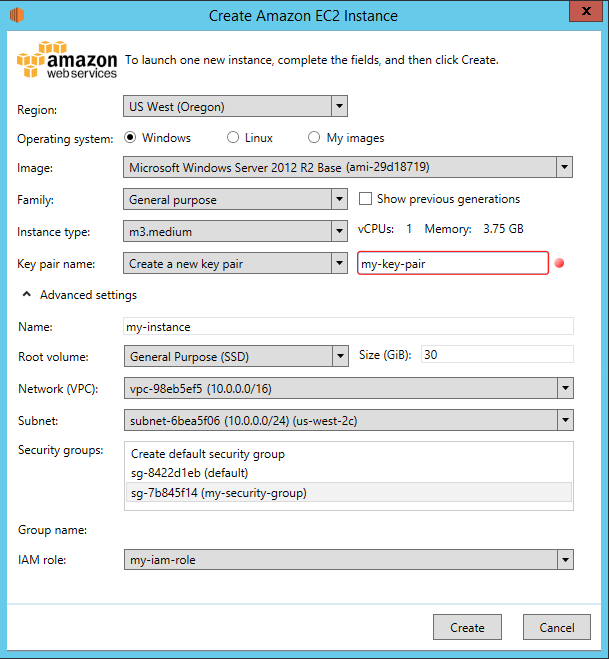 
                            “创建 Amazon EC2 实例”对话框
                        