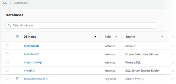 
				“我的数据库实例”列表
			