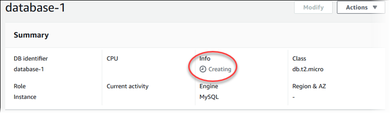 
            					数据库实例详细信息的屏幕截图。
            				