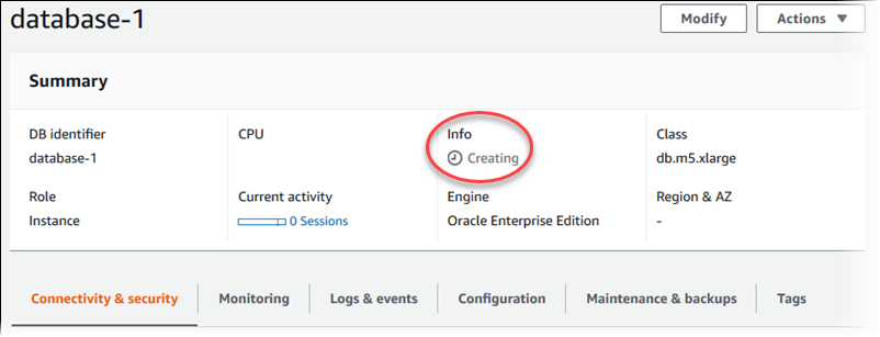 
						显示数据库实例详细信息
					