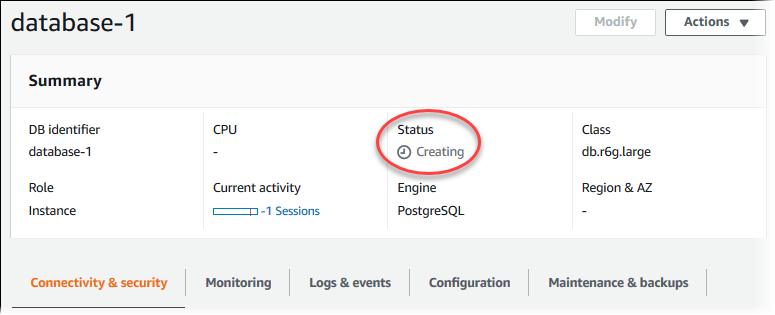 
    							数据库实例详细信息的屏幕截图。
    						