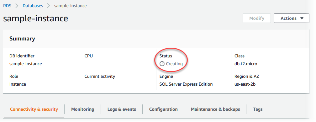 
                        数据库实例详细信息的屏幕截图
                    