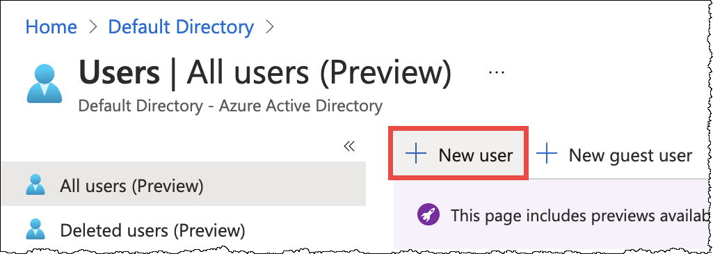 
                            选择 New user（新用户）。
                        