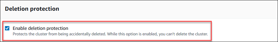 
                           “启用删除保护” 复选框（处于选中状态）的屏幕截图。
                        