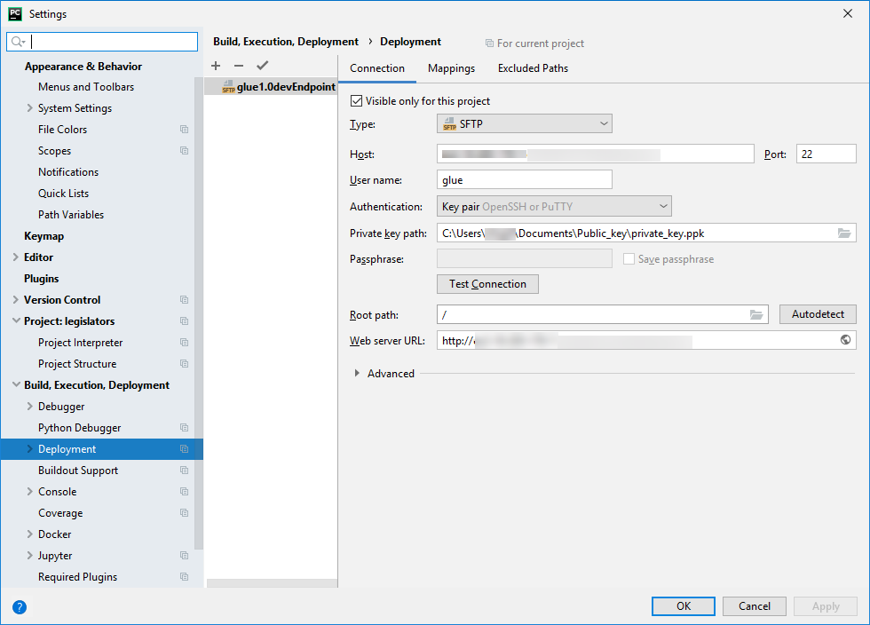 
            定义 SFTP 服务器的 PyCharm Settings（设置）屏幕。
          