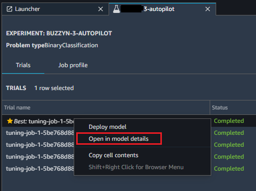 
            Select描述 AutoML Job.
          