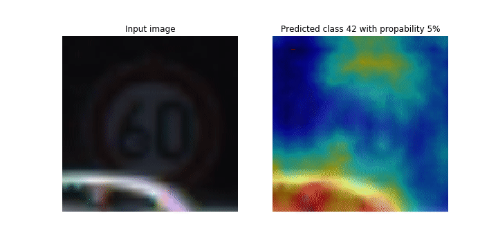 
                CNN 类激活图的动画
            